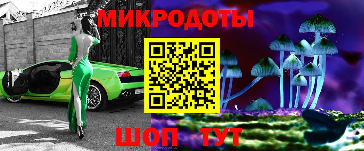 Псилоцибиновые грибы прущие грибы Вышний Волочёк