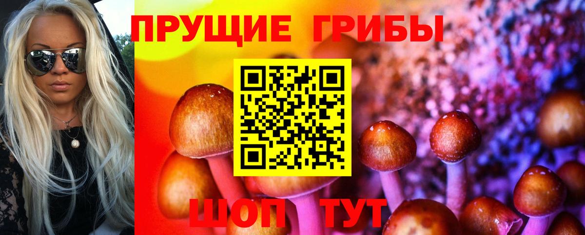 Галлюциногенные грибы прущие грибы  Вход с VPN  Вышний Волочёк 